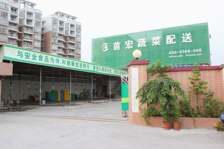 汕尾蔬菜配送